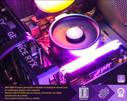 Pc Gamer Ryzen 5 8500g Ram 32gb Ddr5 1tb Ssd M.2 Wi-fi 32 Gb