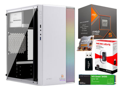 Pc Gamer Ryzen 5 8600g Ai Ram 32gb Ddr5 500 Gb Ssd M.2 Wi-fi 32 Gb